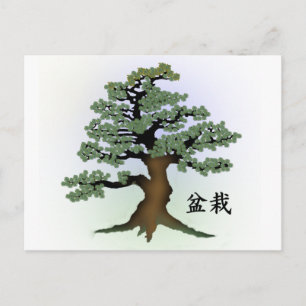 Bonsai 08 postcard