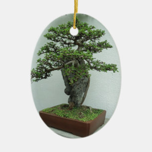bonsai ceramic tree decoration