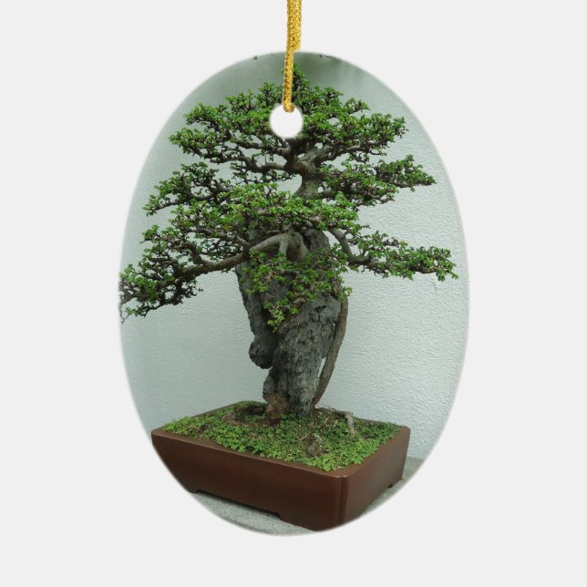 bonsai ceramic tree decoration (Front)