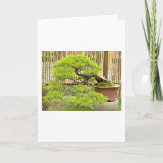 Bonsai/Chinese Potted Landscape Holiday Card
