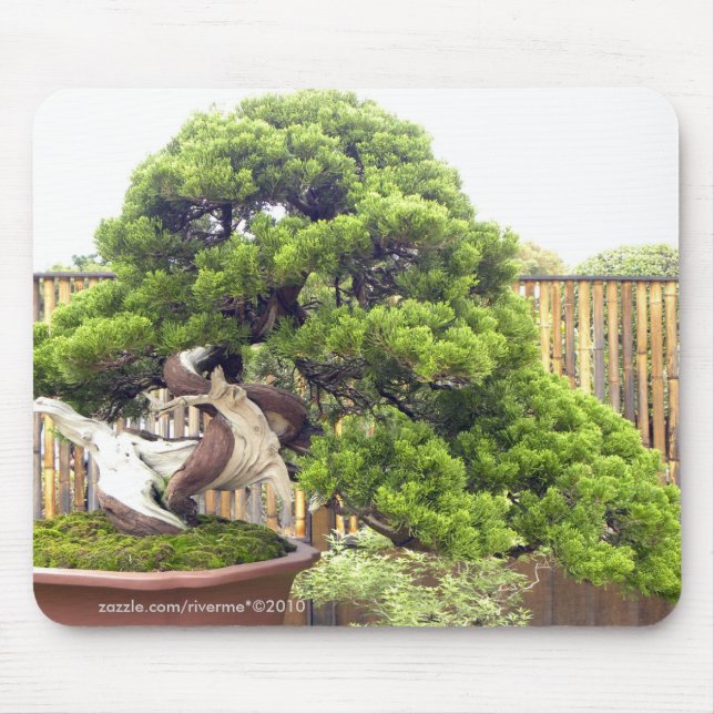 Bonsai/Chinese Potted Landscape Mouse Mat (Front)