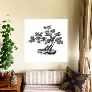 Bonsai - Chinese Style - black and white Canvas Print