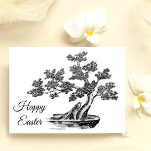 Bonsai - Chinese Style - black and white Postcard