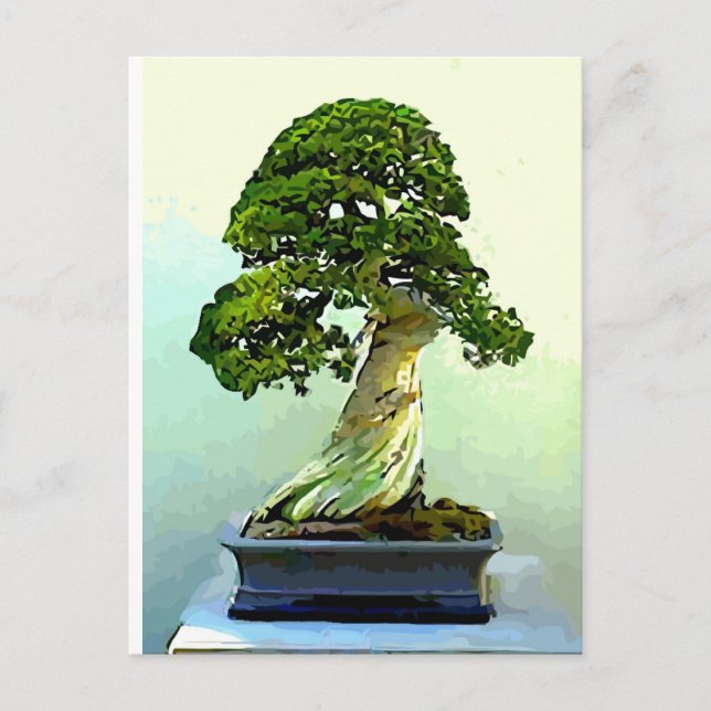 Bonsai Cypress Tree Postcard (Front)