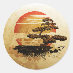 Bonsai in the Sun Classic Round Sticker