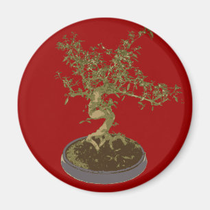 Bonsai Magnet