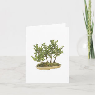 Bonsai Photo 3 Card