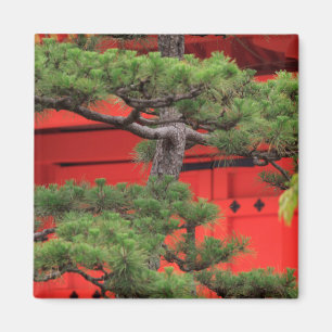 Bonsai Pine Tree Magnet