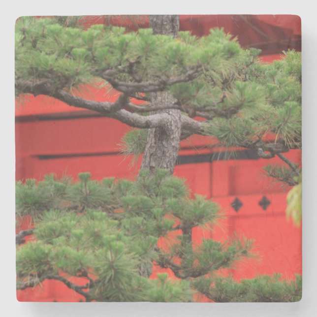 Bonsai Pine Tree Stone Coaster (Front)