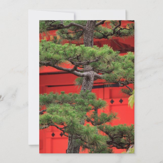 Bonsai Pine Tree Thank You Card (Front)
