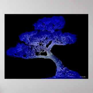 Bonsai Print