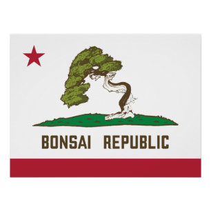Bonsai Republic Flag Poster