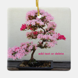 Bonsai Tree Ceramic Ornament