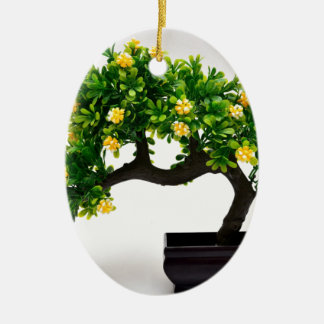 Bonsai tree ceramic tree decoration