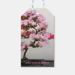 Bonsai Tree Gift Tags
