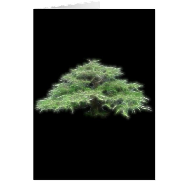 Bonsai Tree Green Plant (Front)