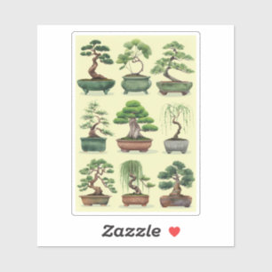 bonsai tree grouping