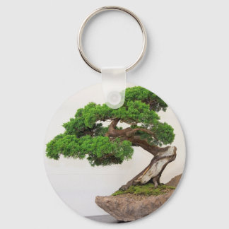 Bonsai tree- natural key ring