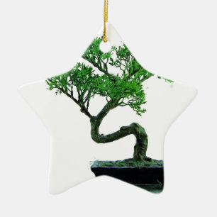 bonsai-tree Painting Ceramic Tree Decoration