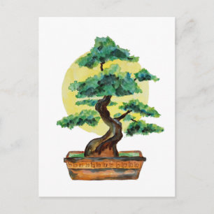 Bonsai Tree Sunshine Postcard
