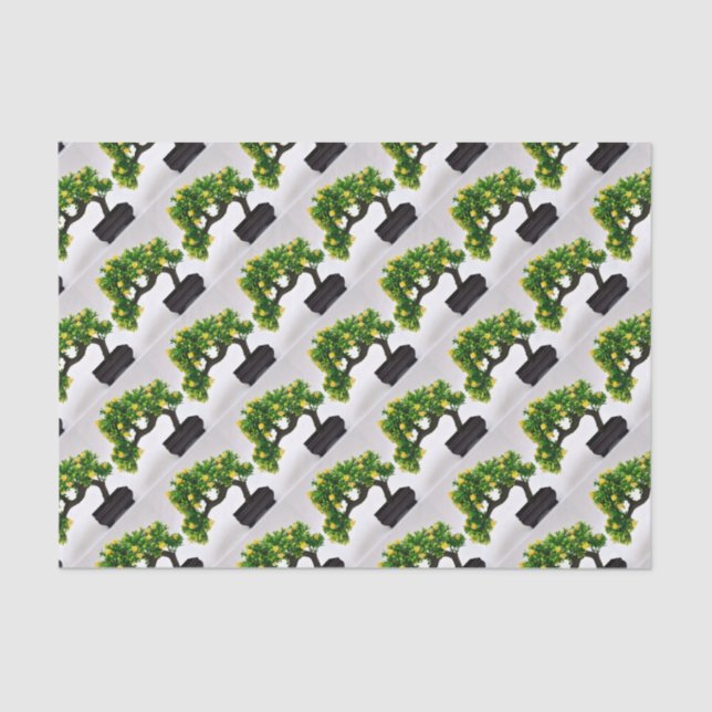 Bonsai tree tissue paper (Front)