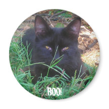 BOO! BLACK KITTY MAGNET