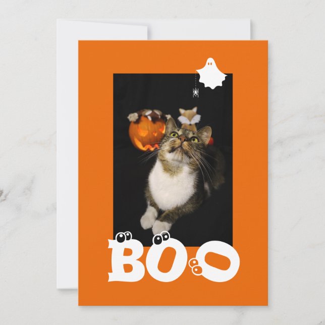 Boo Halloween Cat Ghost Spider Eyeballs Photo Holiday Card (Front)