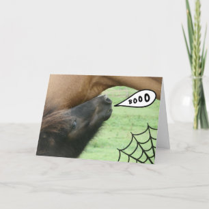 Boo!  Halloween Horse Card
