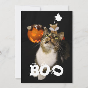 Boo Halloween Pet Ghost Spider Eyeballs Photo Holiday Card
