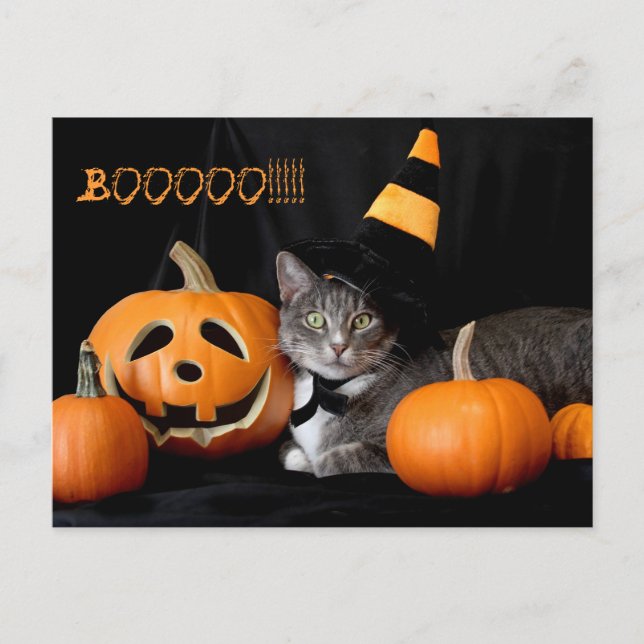 Boo Halloween Postcard with Cat (Front)