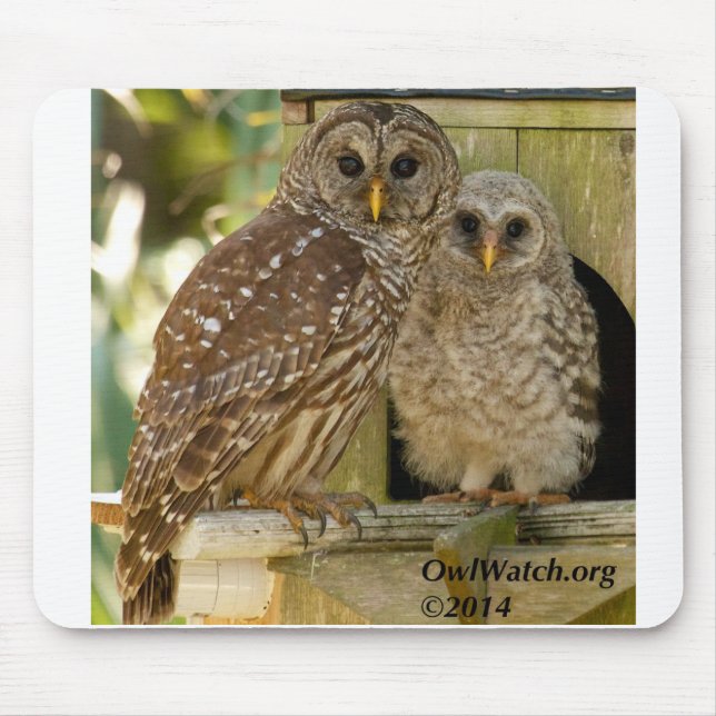 Boo & Mum - 2014 - Mousepad (Front)