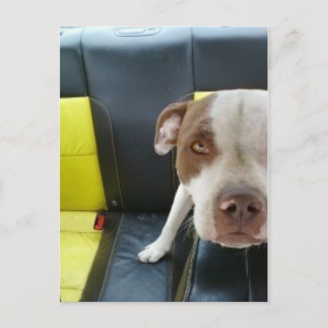 boo postcard (Front)