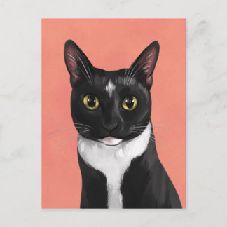 Boo the Tuxedo Cat Postcard