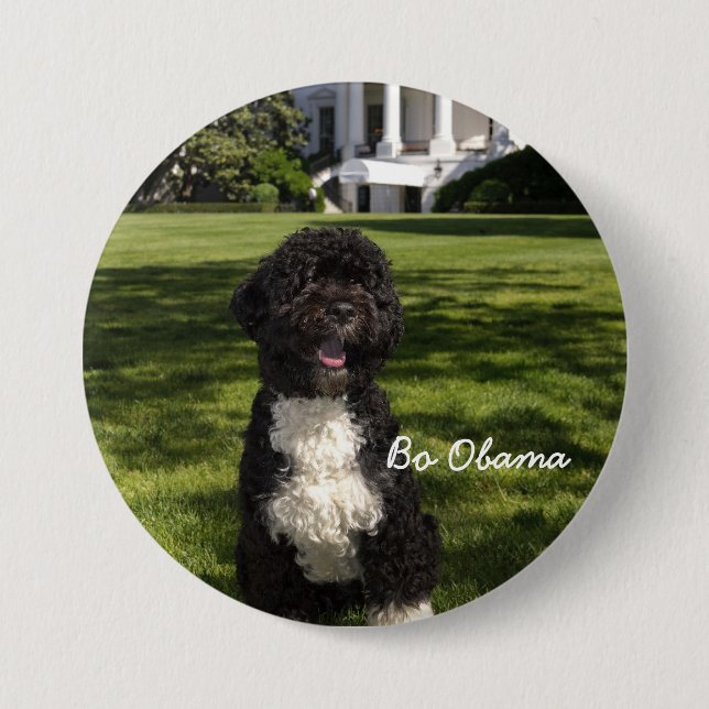 BoObama 7.5 Cm Round Badge (Front)