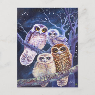 Boobook Owl Family Postcard