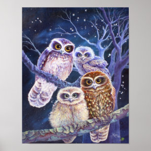 Boobook Owl Family. Poster