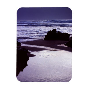 Boobys Bay Magnet