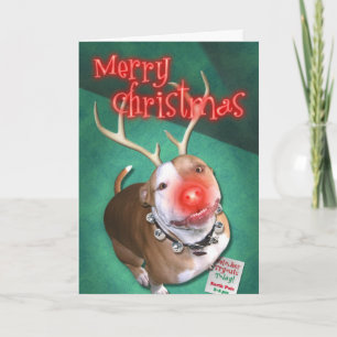 Boodolph Holiday Card