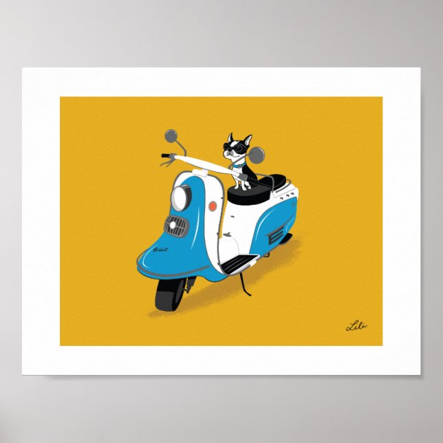 Boogie on Fuji Rabbit Poster (Front)