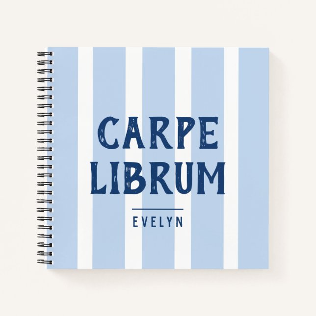 Book Lover's Funny Saying Striped Notebook (Front)
