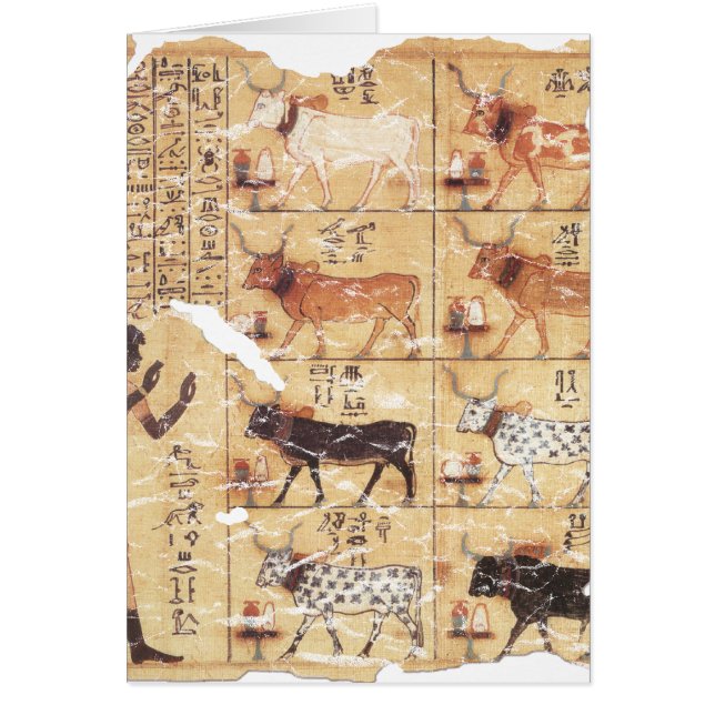 Book of the Dead-Maiherperi-1479bc (Front)