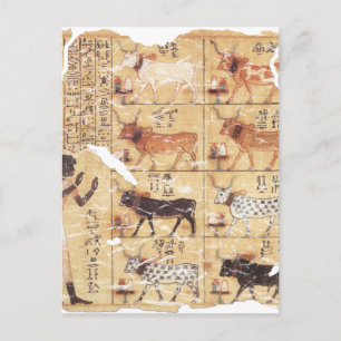 Book of the Dead-Maiherperi-1479bc Postcard