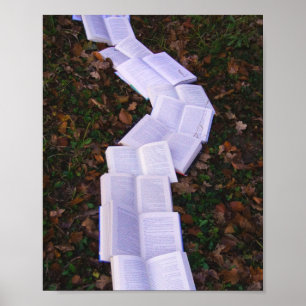 Book Path Reading Reader Poster