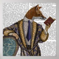 Book Reader Fox