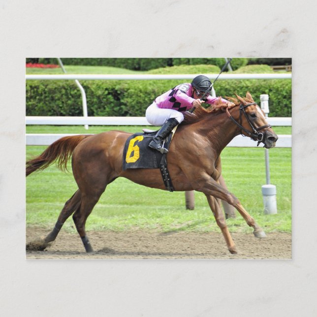 Book Review Postcard (Front)