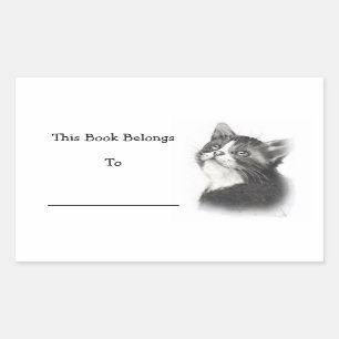 Book Stickers: Pencil Drawing of Kitten Rectangular Sticker