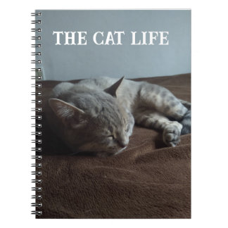 Book the Cat life
