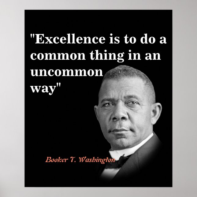 Booker T. Washington Quote On Excellence Poster (Front)
