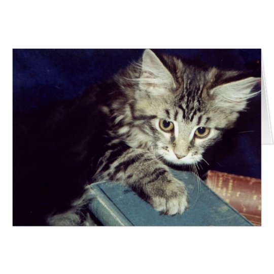 Books and Cats Card