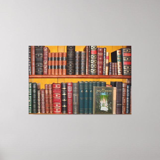 books library bookshelf bookshop canvas print (Front)